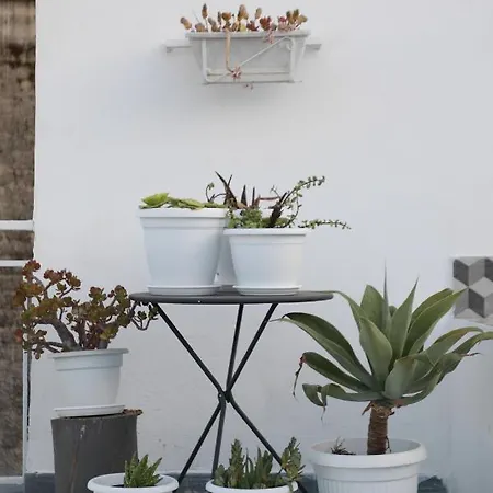 Hébergement de vacances Casa Lupita *